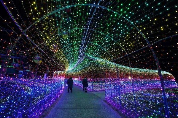 【神奈川県内・町田発】 約300万球の光と音楽の世界「東京ドイツ村イルミネーション」 ~日本一の店舗数「全330店舗」三井アウトレットパーク木更津~1